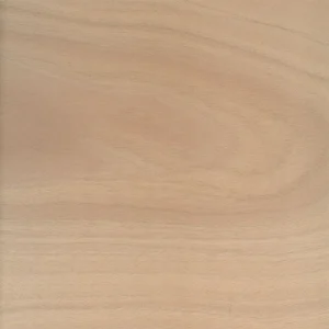 Arch Photo On Wood  Set