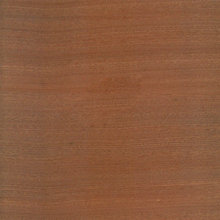 Arch Photo On Wood  Set - Image 6