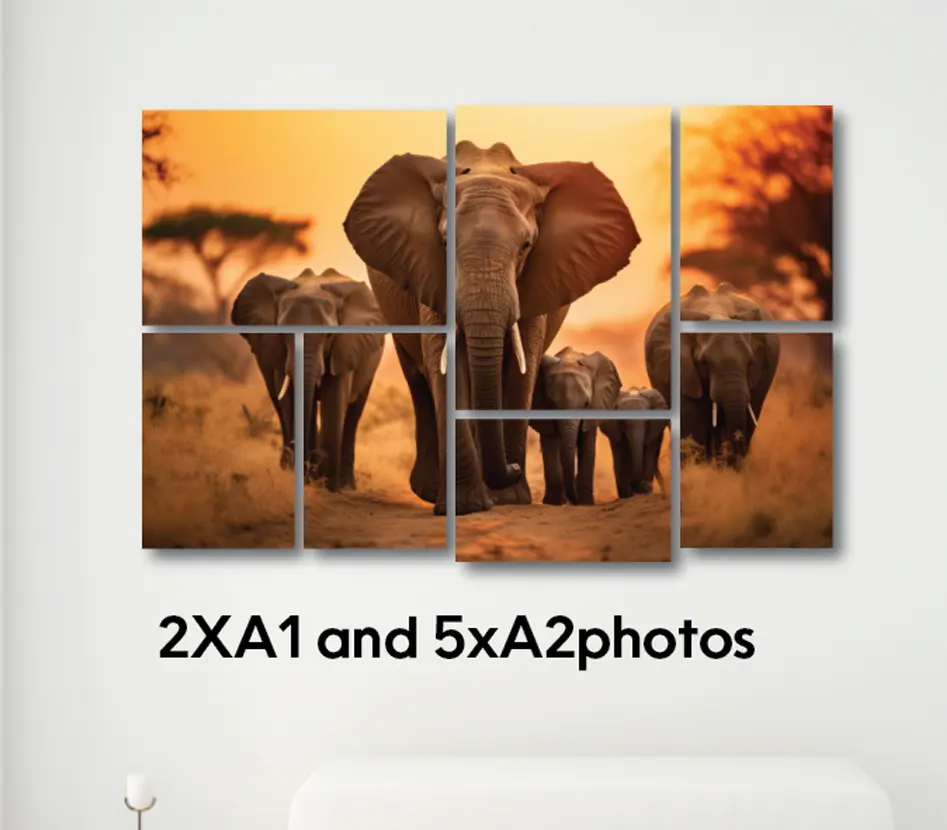 2 X A1 and 5 x A2 Canvas Photos - Image 1